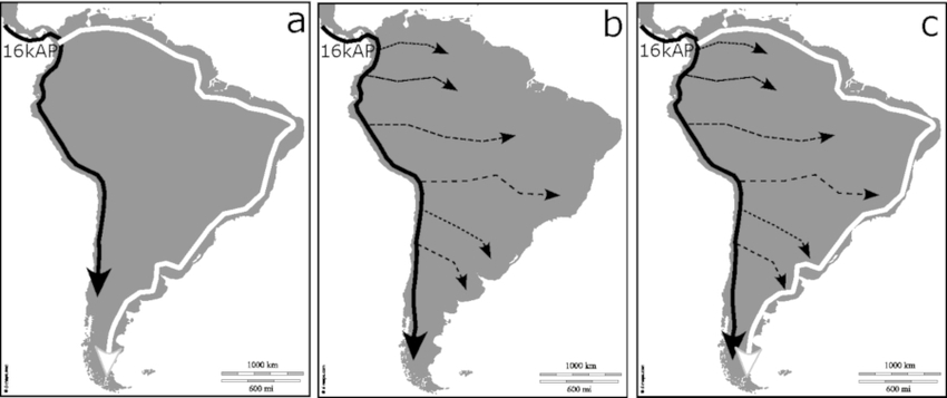 Modelos que explican la dispersi&oacute;n humana temprana en Sudam&eacute;rica: (a) divergencia temprana en el noroeste de Sudam&eacute;rica; (b) ruta costera a lo largo del Pac&iacute;fico y migraciones trasandinas; (c) una combinaci&oacute;n de los anteriores.