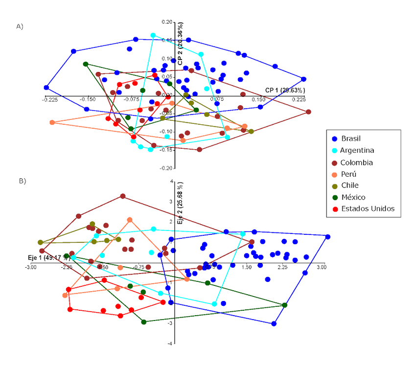 An&aacute;lisis de la variaci&oacute;n morfol&oacute;gica de los individuos tempranos de las Am&eacute;ricas, agrupados por regi&oacute;n geogr&aacute;fica: A) Dispersi&oacute;n de las muestras a lo largo de los dos primeros componentes principales; B) Dispersi&oacute;n de las muestras a lo largo de los dos primeros ejes discriminantes.