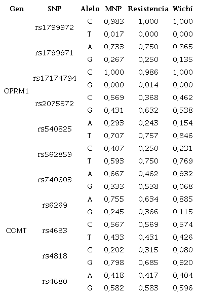 Frecuencias genotípicas (a) y alélicas (b) de los SNPs analizados en las poblaciones de Misión Nueva Pompeya MNP (el presente trabajo), Resistencia y Wichí (Raggio et al., 2018). Tamaños muestrales para MNP: COMT n=54; OPRM1 n=30.