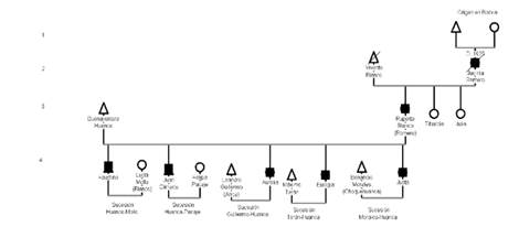 Esquema de miembros ascendientes de matriz de descendientes constituyentes de la propiedad raíz, Parinacota