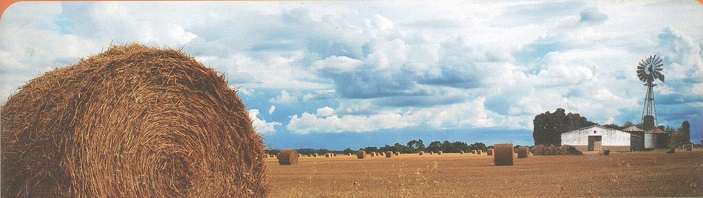 Im&aacute;genes de campo con fardos.