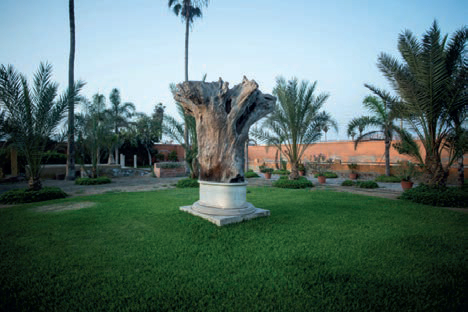 &Aacute;rbol Pedestal de Travertino andino, ra&iacute;z de cedro de 150 a&ntilde;os. Escultura 300 x 300 x 300 cm