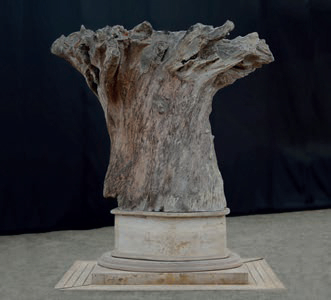 &Aacute;rbol Pedestal de Travertino andino, ra&iacute;z de cedro de 150 a&ntilde;os. Escultura 300 x 300 x 300 cm