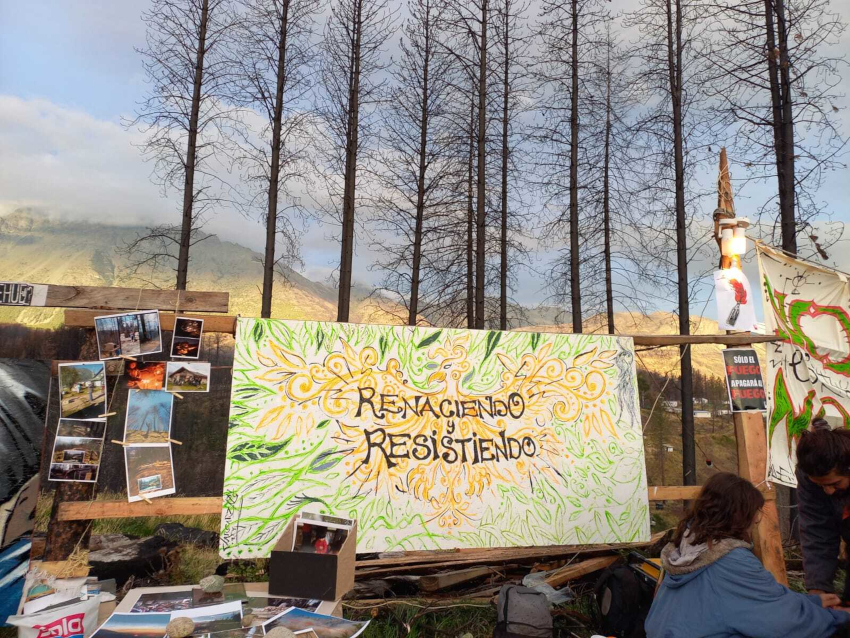 Renaciendo y resistiendo