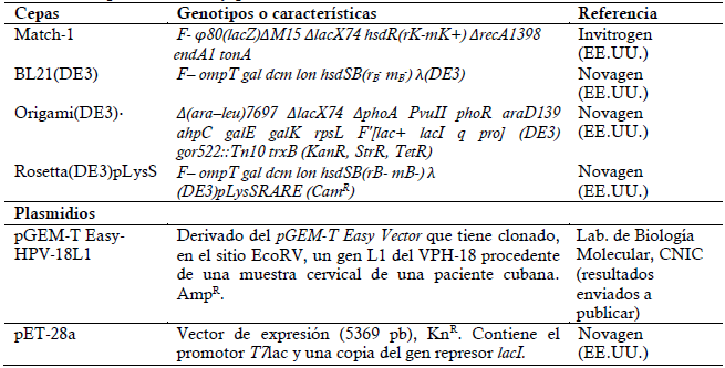 Cepas de E. coli y plasmidios utilizados.