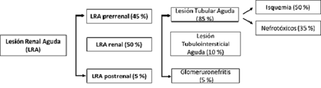 Tipos de Lesión Renal Aguda (LRA). Los valores entre paréntesis se refieren al porciento que representa cada tipo de lesión respecto al total de pacientes con LRA.