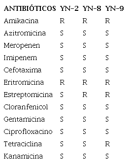 Susceptibilidad a antibi&oacute;ticos de las cepas de S. marcescens, aisladas del yacimiento later&iacute;tico de Moa, Holgu&iacute;n.