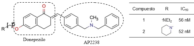 Estructura química de dos híbridos promisorios de Donepezilo y AP2238 (Rizzo y col., 2010). Se muestran los valores de IC50 para su actividad inhibitoria sobre la AChE, y los grupos aportados por los precursores en su diseño. Compuesto 1: (2E)‐2‐[(4‐{[bencil(metil)amino]metil}fenil)metilideno]‐6‐{[5‐(dietilamino)pentil]oxi}‐1,2,3,4‐tetrahidronaftalen‐1‐ona; Compuesto2:(2E)‐2‐[(4‐{[bencil(metil)amino]metil}fenil)metilideno]‐6‐{[5‐(piperidin‐1‐il)pentil]oxi}‐1,2,3,4‐tetrahidronaftalen‐1‐ona.