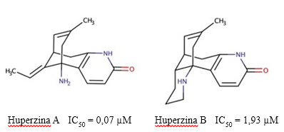 Estructura química de las huperzinas A y B, y los valores de IC50 descritos para su actividad inhibitoria sobre la AChE (Szypula y col., 2020).