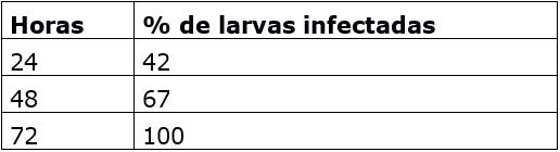 Permanencia en el suelo (% de larvas infestadas)