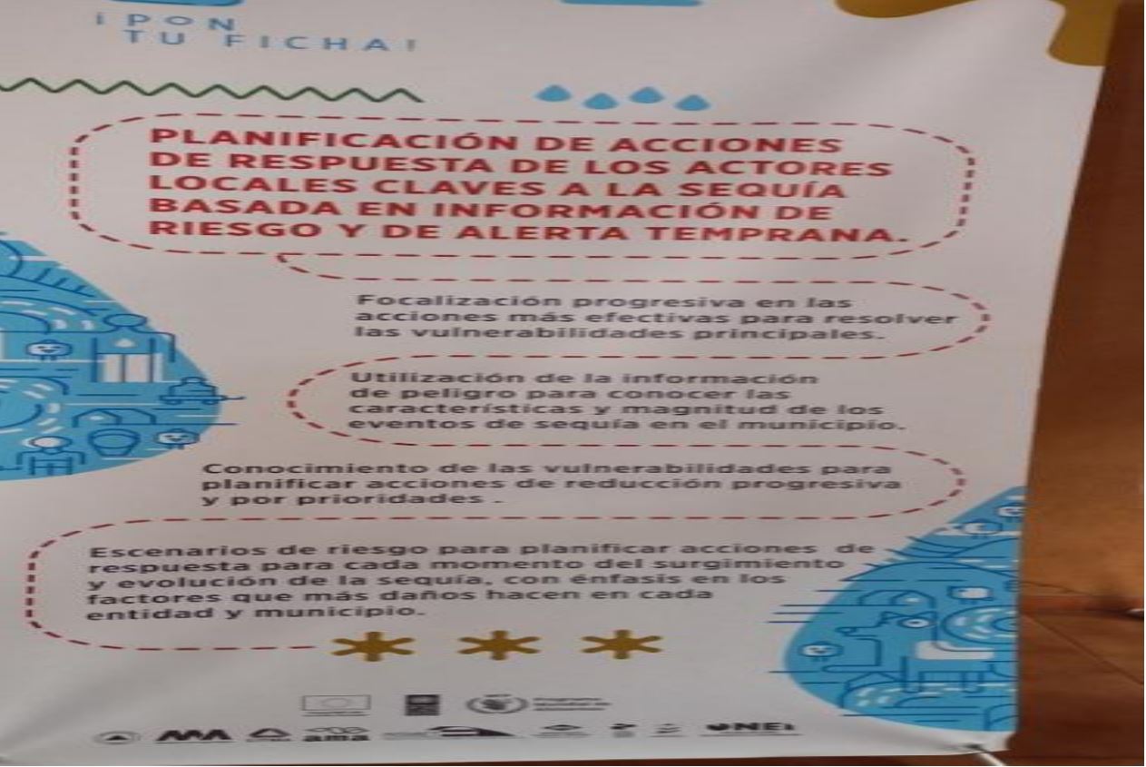 Flujo de la informaci�n para gestionar el riesgo desde las entidades de vigilancia hasta los actores locales
