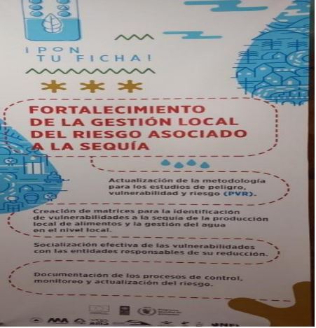 Acciones ejecutadas para fortalecer la gesti�n del riesgo a nivel local