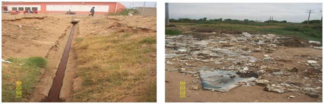 Impacto ambiental del matadero municipal para el barrio Eucaliptos