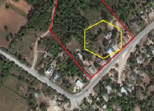 Micro localizacin de la poblacin de Achatina flica en Certeneja (En rojo) rea de mayor concentracin de especmenes (En amarillo).