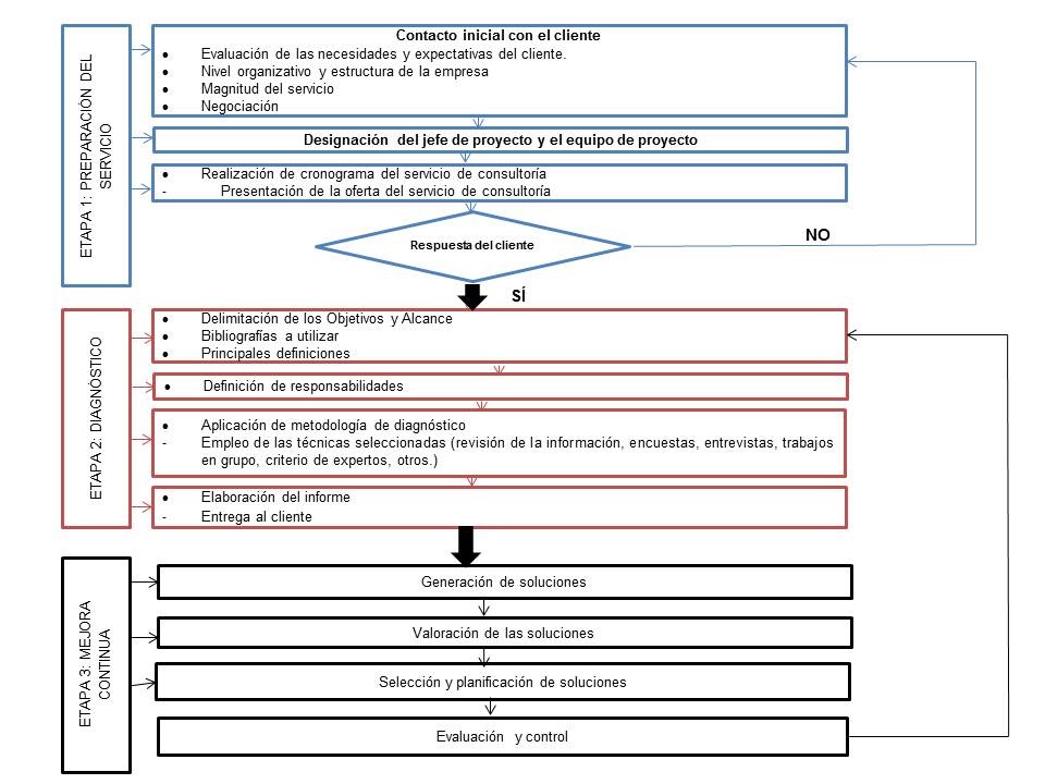 Procedimiento de SCT de “Diagnstico del sistema de organizacin general del Sistema de Direccin y Gestin Empresarial”