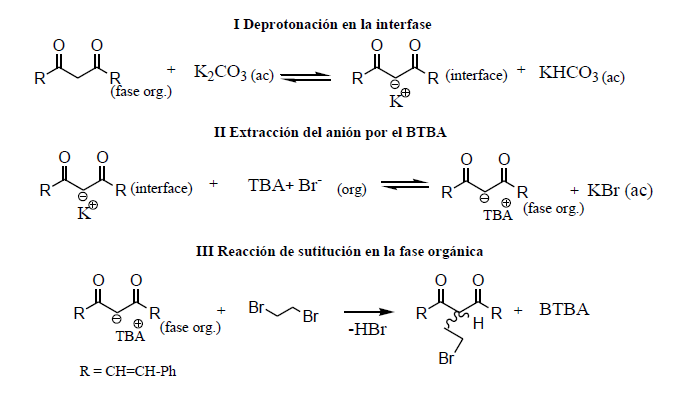  Etapas del mecanismo de cat&aacute;lisis por transferencia de fase propuesto para la ciclopropanaci&oacute;n de la curcumina. 