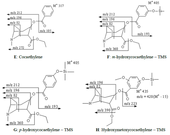 Fragmentation pathway proposed for cocaine and its metabolites.