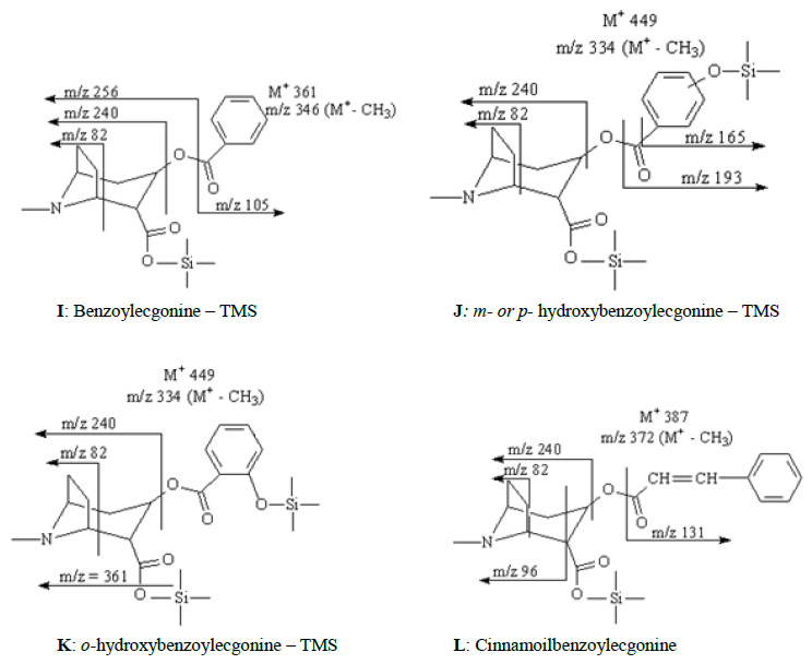 Fragmentation pathway proposed for cocaine and its metabolites.