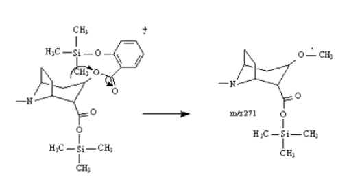 Formation of ion at m/z 271 ion by methyl radical transfer pathway proposed.