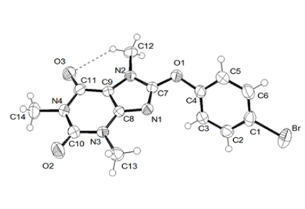 A view of the molecule of 8-(4´-bromofenoxy) caffeine showing the numbering scheme. Displacement ellipsoids are drawn at 50% probability level for non-H atoms, H atoms are represented by spheres of arbitrary radius. Intramolecular hydrogen bond is represented by dotted lines.