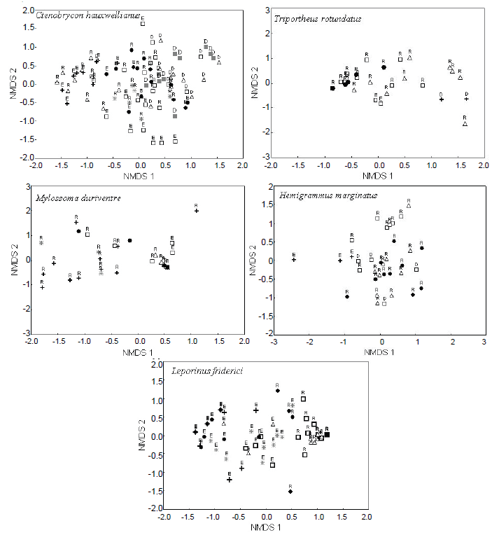 Non-metric Multidimensional Scaling
compared the relative volumes of food items consumed by the main species of
fish from the lakes in the Purus river basin, and between the hydrological
periods. ●=Santana,
□=Cametá, ■=Lago Verde, Δ=Itapira, +=Flor do ouro, =Bom Lugar,
R=rainy, E=ebb, D=dry.