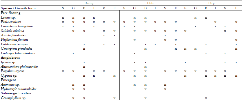 Species and biological forms of
macrophytes in the studied lakes during each hydrological period. Lakes: S =
Santana, C =Cametá, B = Bom Lugar, I = Itapira, V = Verde, F = Flor do Ouro.