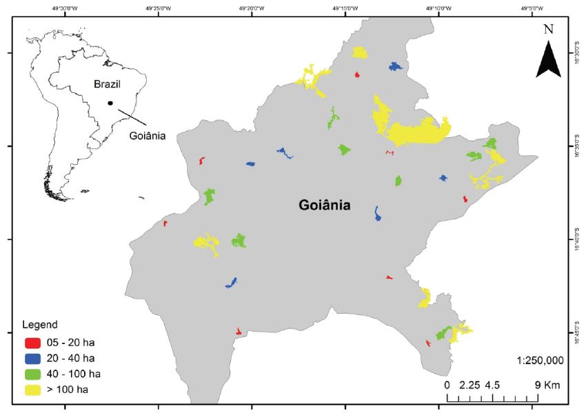 Remnants (n = 31) in the landscape of
Goiânia, Goiás, Brazil distributed in four area classes (ha) as described.
Source: created by Grande, T. O.