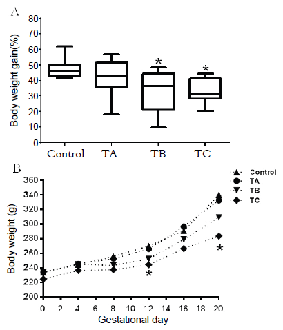 Maternal body weight of rats from
control and treated with 150 (TA), 300 (TB) and 1000 mg kg-1 bw day-1 (TC) of
metolachlor groups. A) Body weight gain (%). B) Body weight evolution during gestation
(g). In A, values expressed as median (Q1-Q3). Kruskal Wallis test with a
posteriori Dunn test. In B, values expressed as mean ± S.E.M. Anova with a
posteriori Dunnett test. *p < 0.05, statistically significant difference
compared to control group.