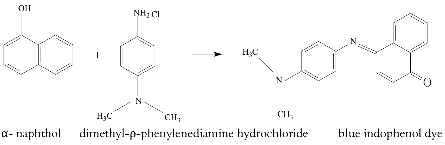 Formation reaction NADI reagent