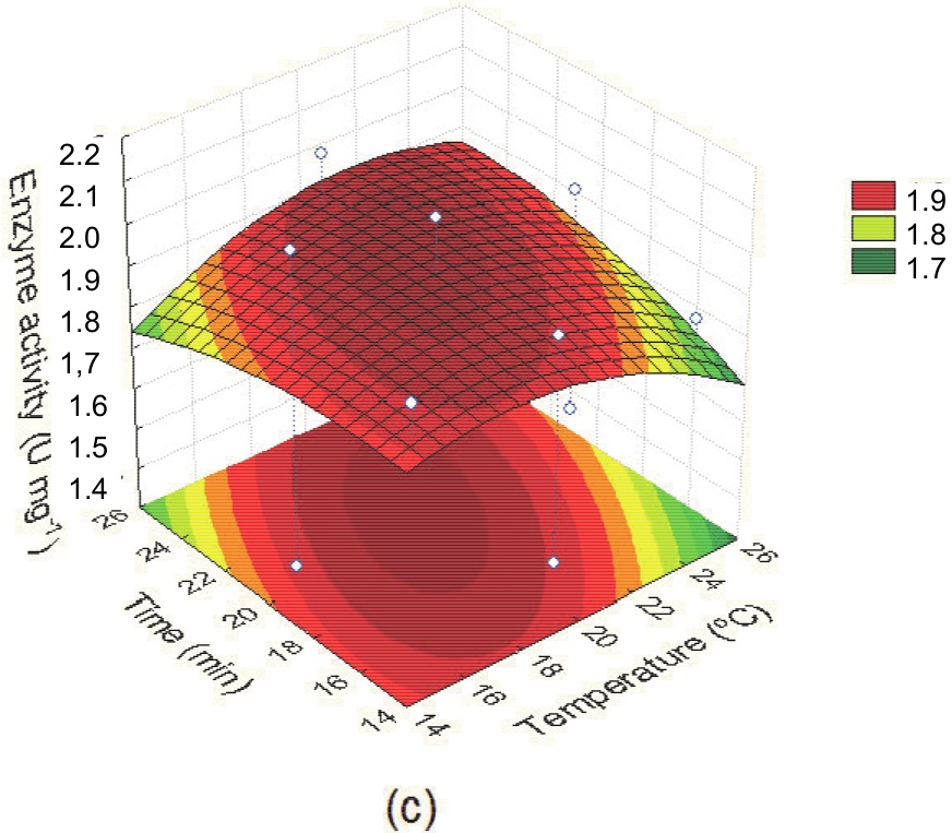 Gráfico de la superficie de respuesta que representa el efecto de a) temperatura y concentración de etanol, b) tiempo y concentración de etanol, c) tiempo y temperatura sobre la actividad beta-galactosidasa (U mg -1 ) de 
células de Saccharomyces fragilis IZ 275 permeabilizadas.