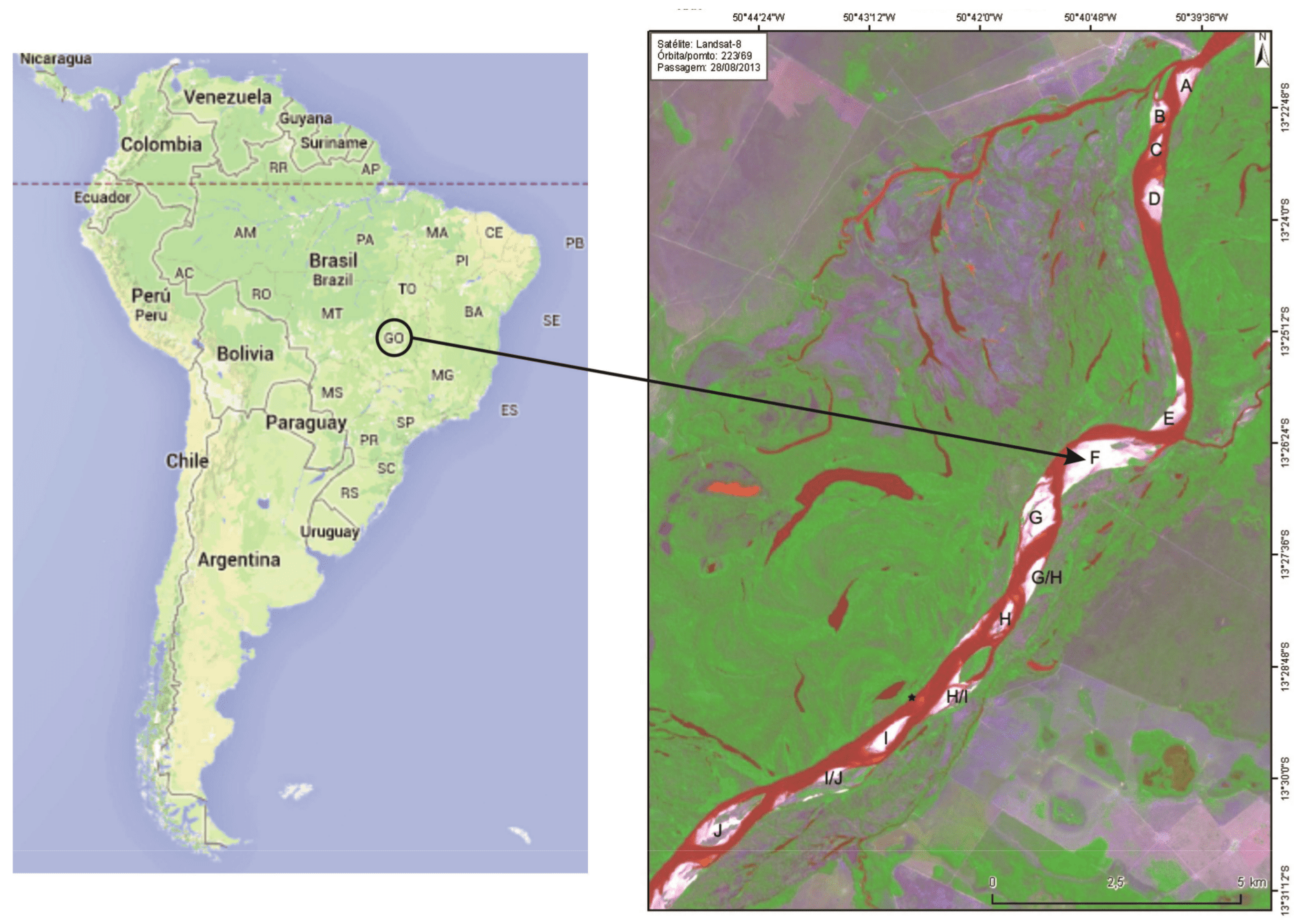  Reproduction area of Podocnemis
expansa in Conservation Unit in Araguaia River, State of Goiás, Brazil. The
arrow indicates the site of egg collection in 2012 (13º 20' 38" S and 50º
38' 05" W).