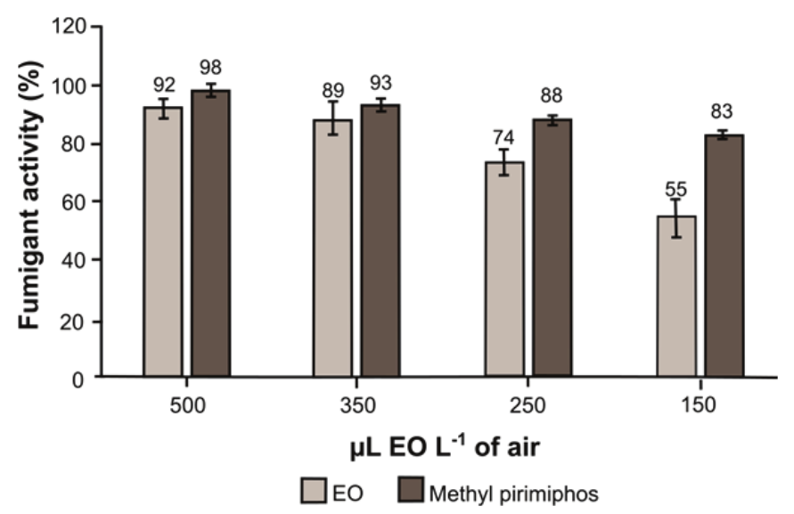 Fumigant activity of essential oil
(EO) from Kyllinga pumila against Tribolium castaneum