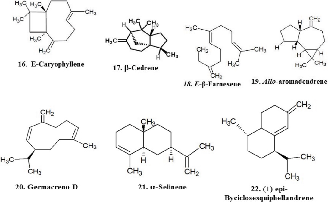 Structures of principal compounds
found in the essential oil from Colombian Kyllinga
pumila. (See Table 1.)