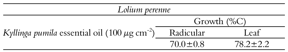 Phytotoxic effects of Kyllinga pumila on Lolium perenne
