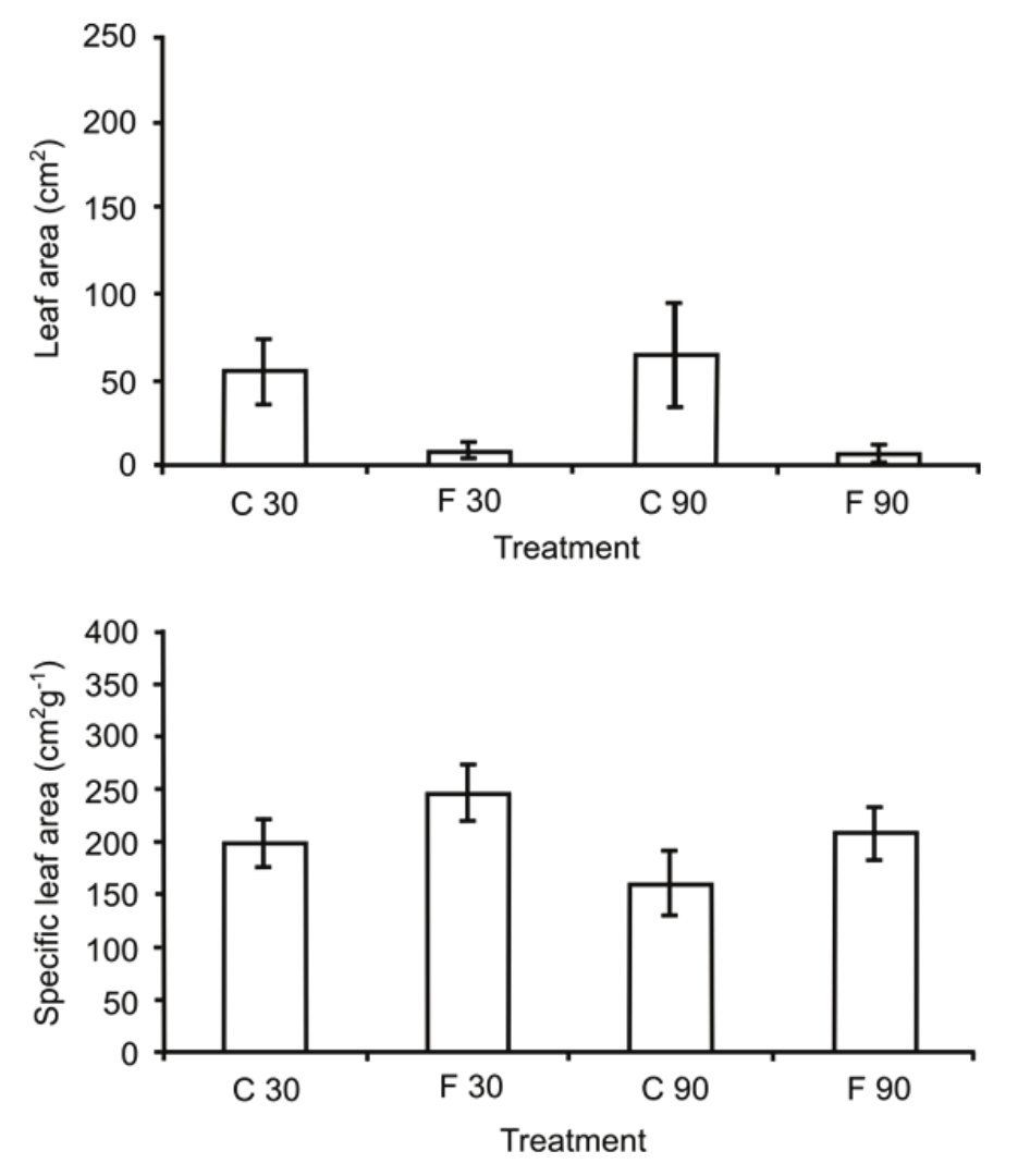 Means of
leaf area (p < 0.001, n = 10) and specific leaf area (p < 0.05, n = 10) of Triplaris gardneriana under
control (C) and flooded plants (F) at 30 and 90 days