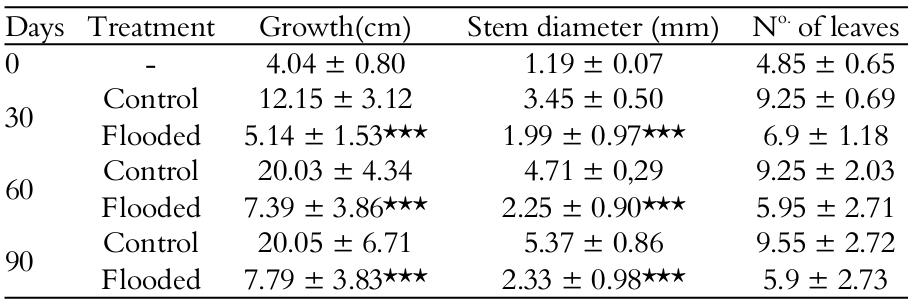Means (&plusmn; standard deviation) for Triplaris
gardneriana, comparing control
and flooded plants in three successive months. *p <
0.05 (n = 10)