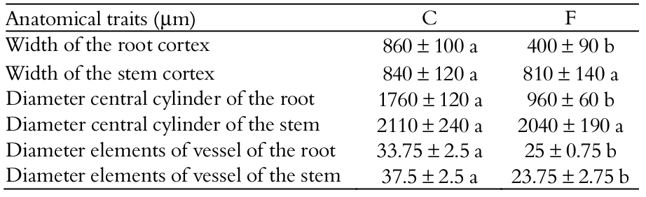Mean &plusmn;
standard deviation of anatomical traits of the main root and the stem of Triplaris
gardneriana grown in drained soil &ndash; control plant (C) and flooded soil (F)
for 90 days. The t test was applied at a level of 5% probability (n = 5)