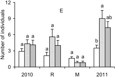 Average number of individuals in the beginning of the experiment
(2010), recruited (R), mortality (M) and the end of the experiment (2011) per
sub-plot in areas with ferns (white bars), with the fronds of ferns cut (dotted
bars) and without ferns (bars with diagonal lines) in the Mata dos Godoy State
Park, Londrina, PR, Brazil. A - Actinostemon
concolor; B - Aspidosperma polyneuron;
C - Euterpe edulis; D - Guarea kunthiana; E - Inga marginata. The
vertical lines on the bars indicate the standard error. Different letters above
the bars indicate differences between treatments by Friedman's variance analysis (a &pound; 0.05).