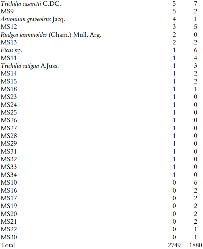 Number of individuals per species or morpho-species
in with (F) and without ferns (NF) plots in the Mata dos Godoy
State Park, Londrina, PR, Brazil. Species were numbered in
decreasing order of abundance in the F plot. 