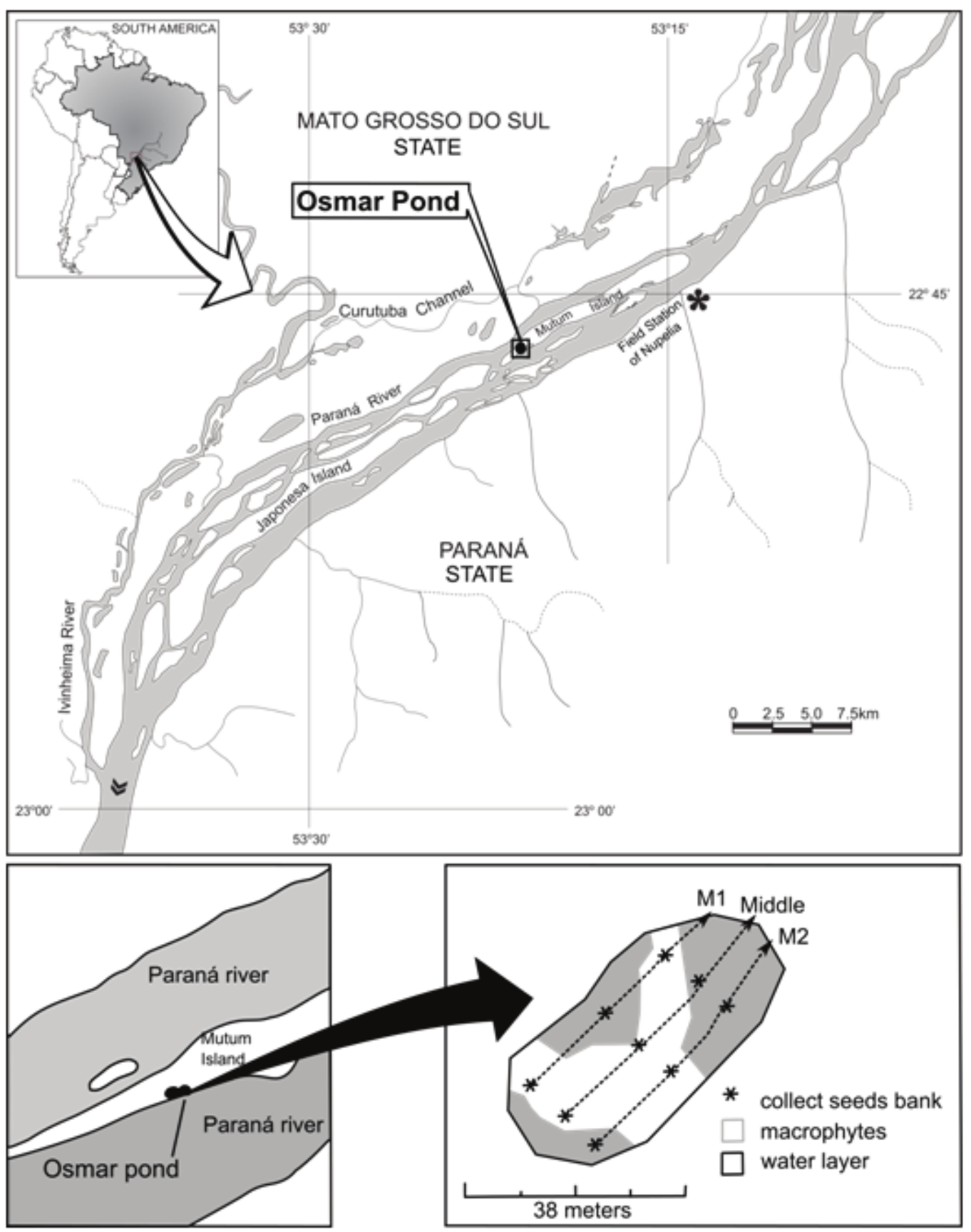 Map of the
stretch of the Upper Paraná River floodplain showing the Osmar Pond and
sampling at the sediment