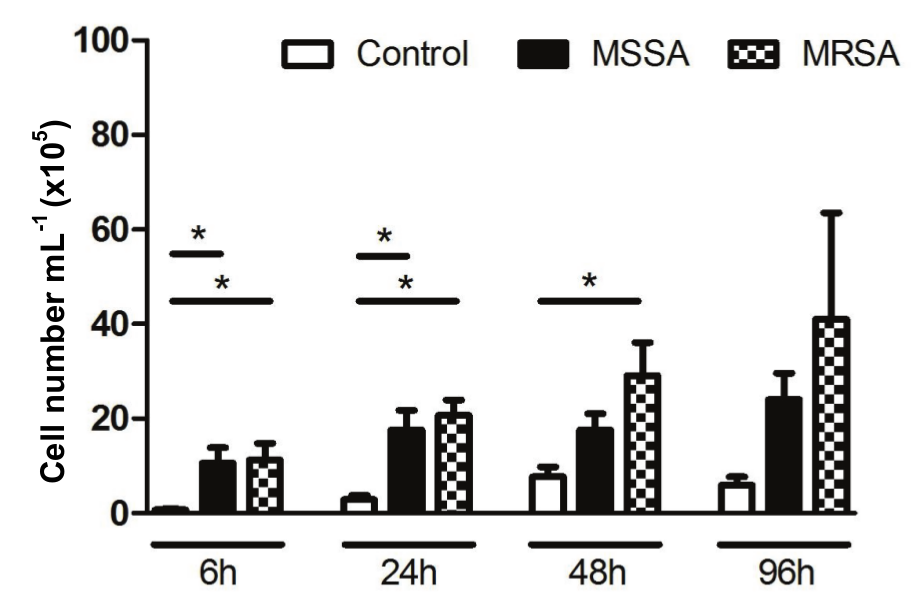 Cell number in lymph node after infection with different strains of Staphylococcus aureus. Mice were
infected with 105 CFUs of methicillin-susceptible S. aureus (MSSA) or
methicillin-resistant S. aureus
(MRSA) 6, 24, 48 and 96 hours intradermally in the right ear before euthanasia.
Control group received saline intradermally in the ear. After the euthanasia,
the right lymph node was collected, centrifuged and the cell number was
determined in Neubauer chamber. *p<0.05. The data are pooled from three
independent experiments (n = 7-9 animals per group in each experimental point)