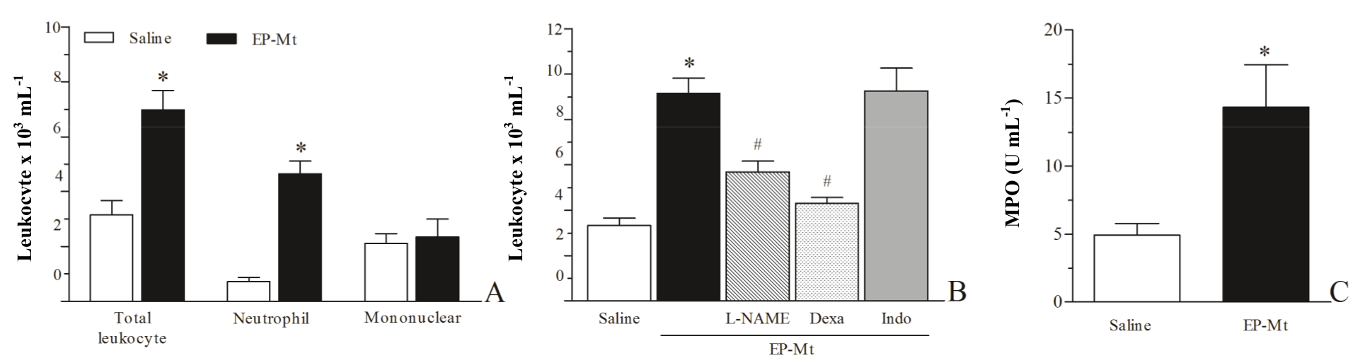  EP-Mt elicits leukocyte migration. Peritonitis was
induced by EP-Mt (1 mg kg-1; i.p.) in animals (A) naive or treated 30 min before
with (B) dexamethasone (Dexa, 5 mg kg-1; i.v.),
L-NAME (25 mg kg-1; i.v.) or indomethacin (Indo, 10 mg kg-1; i.v). Total and differential leukocyte counts or (C) MPO activity was
evaluated 180 min after peritonitis induction; Mean ± E.P.M. (n=6). Two-way
ANOVA and Bonferroni. *p < 0.05 vs.
saline; #p < 0.05 vs. EP-Mt