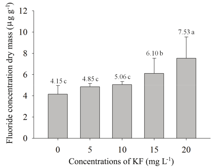 Fluoride concentrations (µg g-1 MS) in
plants of Vitex polygama exposed to
different concentrations of potassium fluoride (0, 5, 10, 15 and 20 mg L-1)
in the simulated rain, during 10 consecutive days. The vertical bars indicate
the standard deviation (n=8). Averages followed by the same letter do not
differ among themselves according to Scott-Knott test at 5% of probability