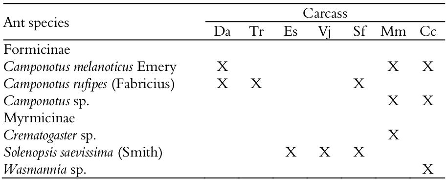 Relation between ant species and vertebrate carcasses which were
recorded