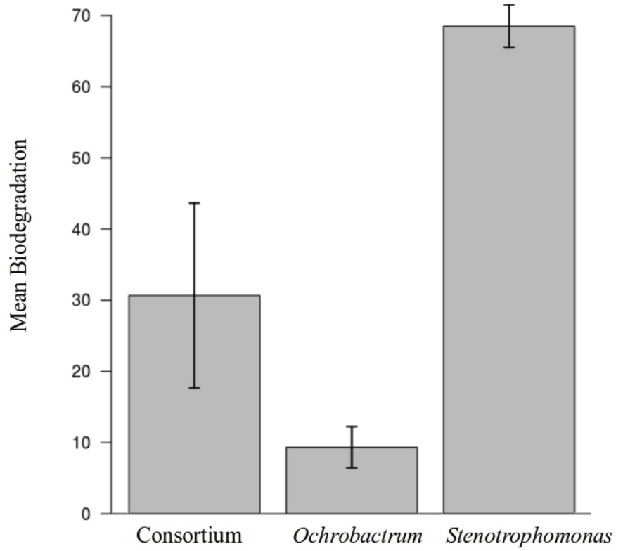 Biodegradation of carbendazim in 21 days by bacteria
isolated from Coriandrum sativum L.
rhizosphere. Error bars represent standard errors of the means.