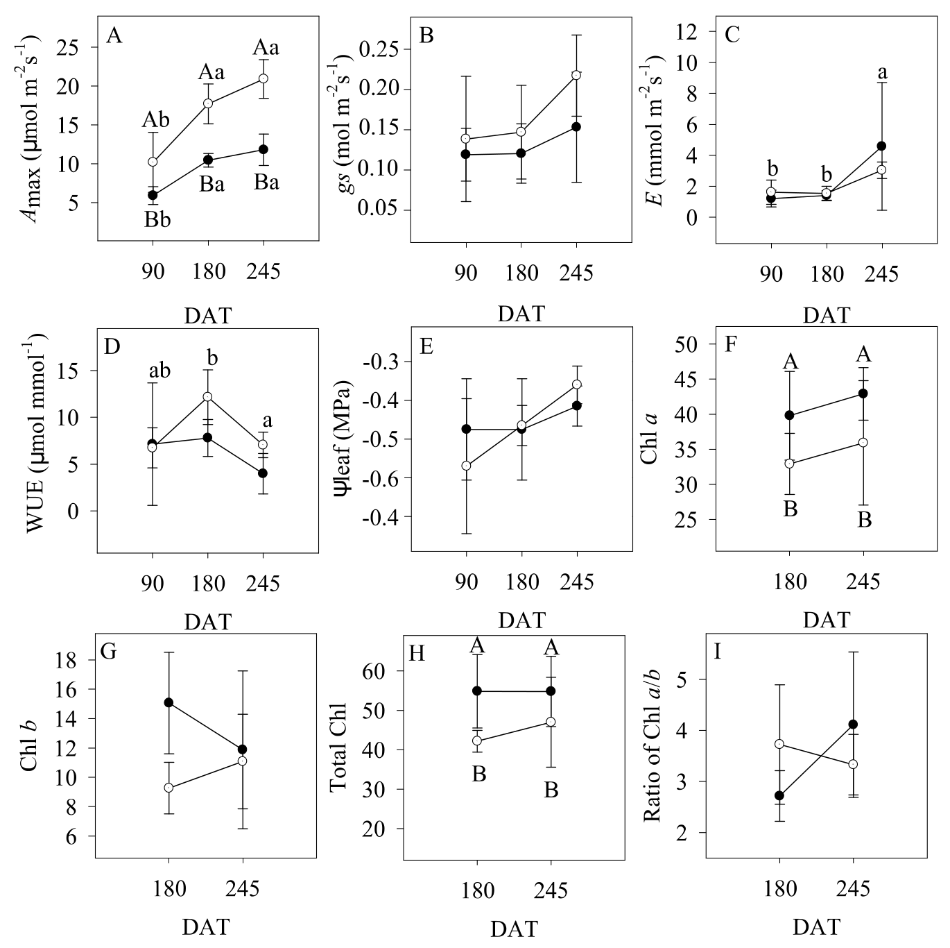Leaf functional traits in Enterolobium
contortisiliquum plants grown under sun (○) or shade (●)
conditions. DAT = days after transplanting. Amax
= maximum net photosynthesis (A); gs = stomatal conductance (B); E =
leaf transpiration rate (C); WUE =
water use efficiency (D); Ψleaf = leaf
water potential (E); Chl a = index of chlorophyll a
(F); Chl b = index of chlorophyll b (G); Total Chl = index of total
chlorophyll (H); Ratio of Chl a/b (I). Symbols represent the average (n
= 5) and bars indicate ± standard error values. Capital letters indicate
differences between light treatments (sun and shade) at each measurement date.
Lowercase letters indicate differences among DAT for each treatment. If there
were no significant differences, letters are not shown.