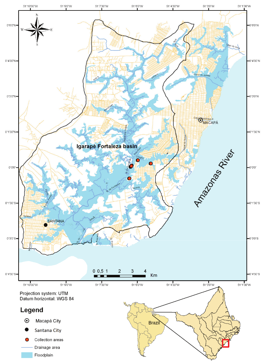 Collection sites of Auchenipterus nuchalis in Igarapé Fortaleza River, a tributary from the Amazon
River system (Brazil).