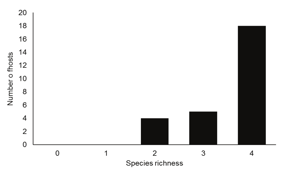 Species richness of parasites in Auchenipterus
nuchalis from Igarapé Fortaleza River, a tributary of the Amazon River system (Brazil).