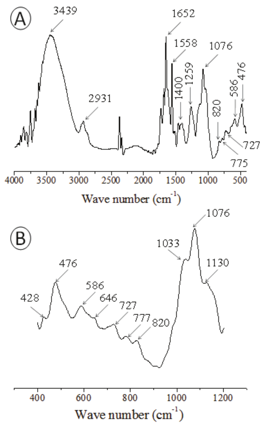 IR spectrum of Cc-SP1 (A)
and its extended version (B) at 4000-500 cm-1 in KBr pellet.