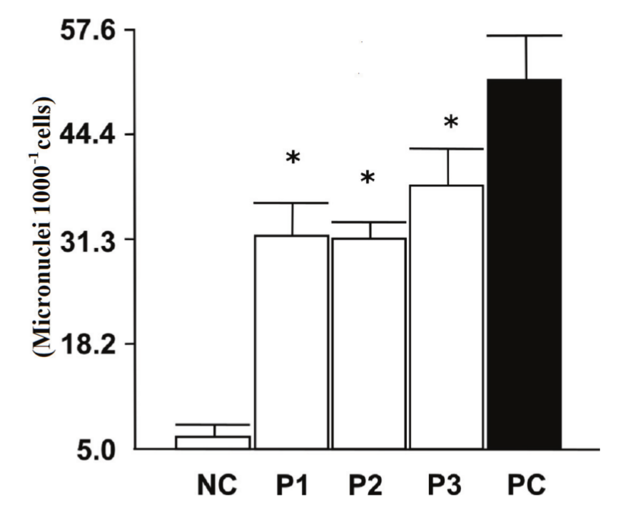 Analysis
of mutagenic effect of water samples from Riacho das Cachoeira dam using Trad-MCN test. NC = negative control;
PC = positive control. Results represented as mean &plusmn; SD. * Statistical
difference, Dunnet test (P <0.001).